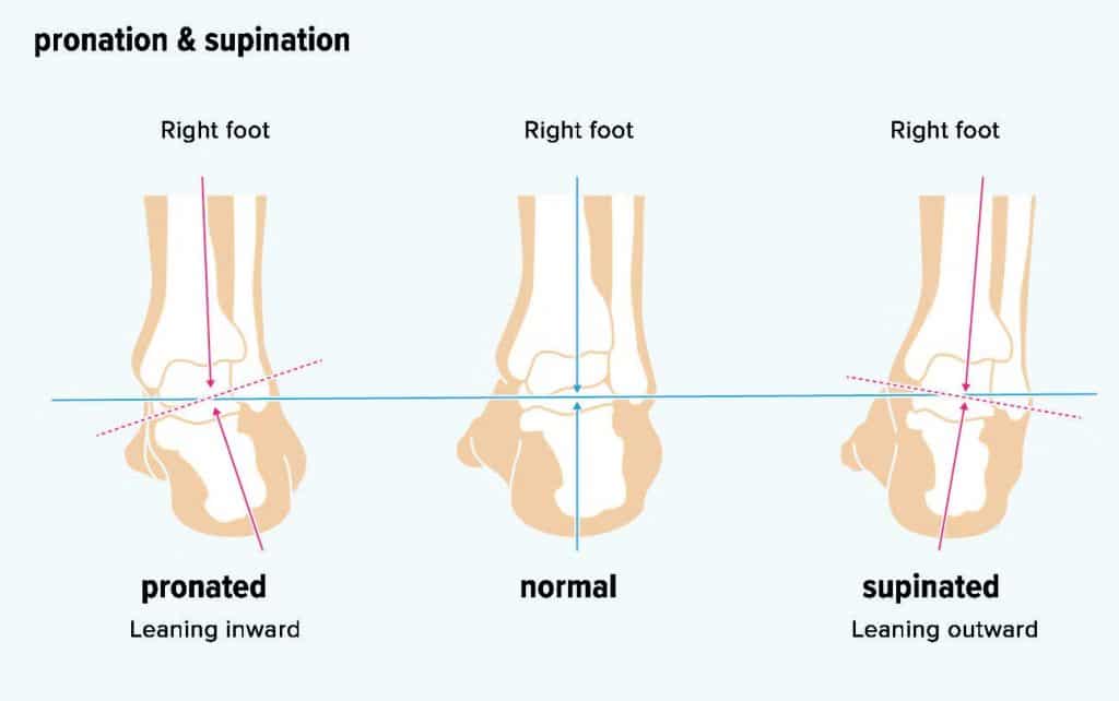 supination och pronation