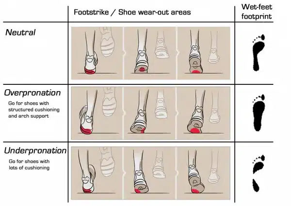 supination och pronation